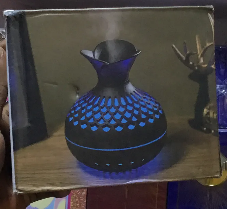 HUMIDIFIER