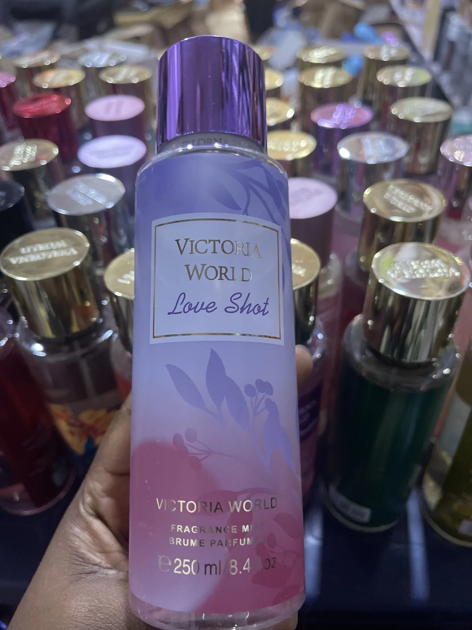 VICTORIA WORLD view 20