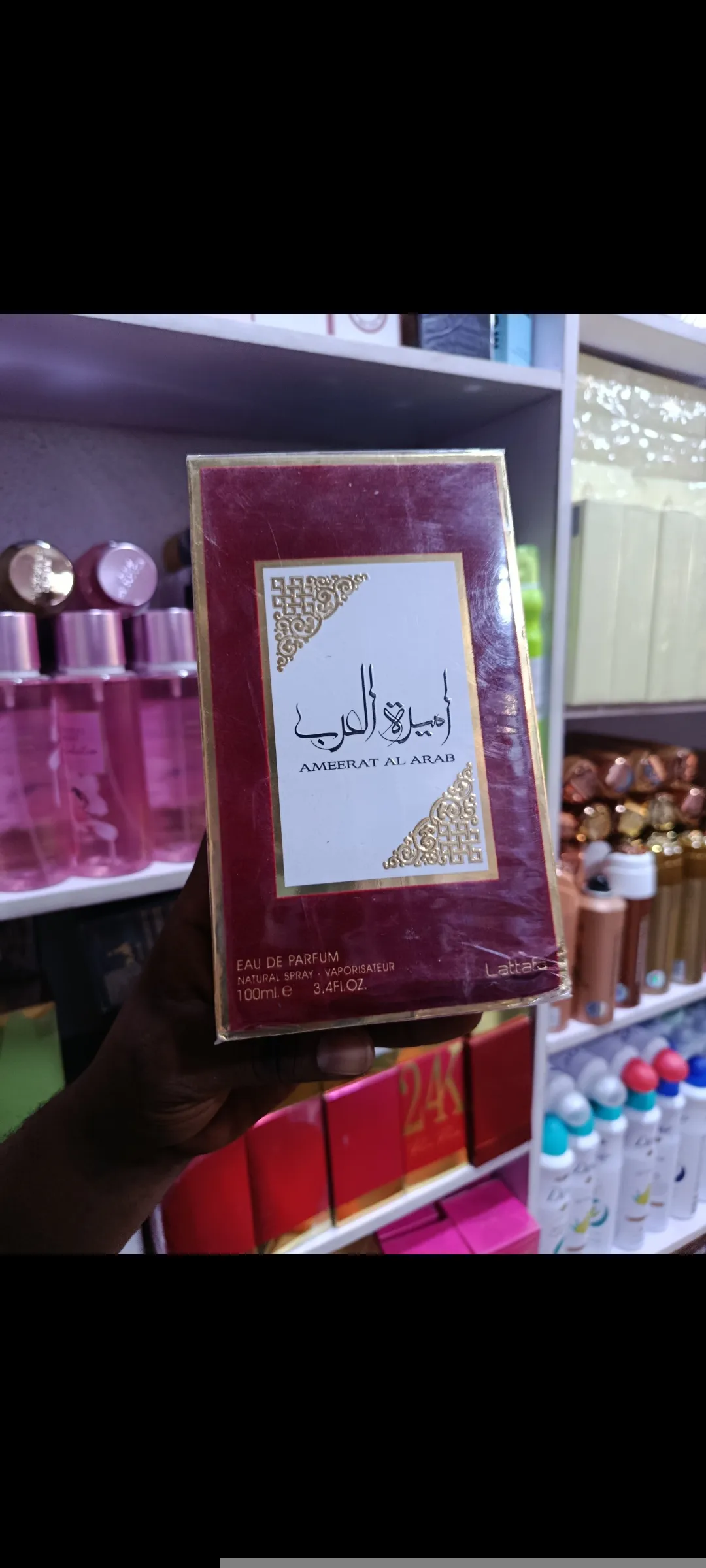 AMEERAT Al ARAB view 2