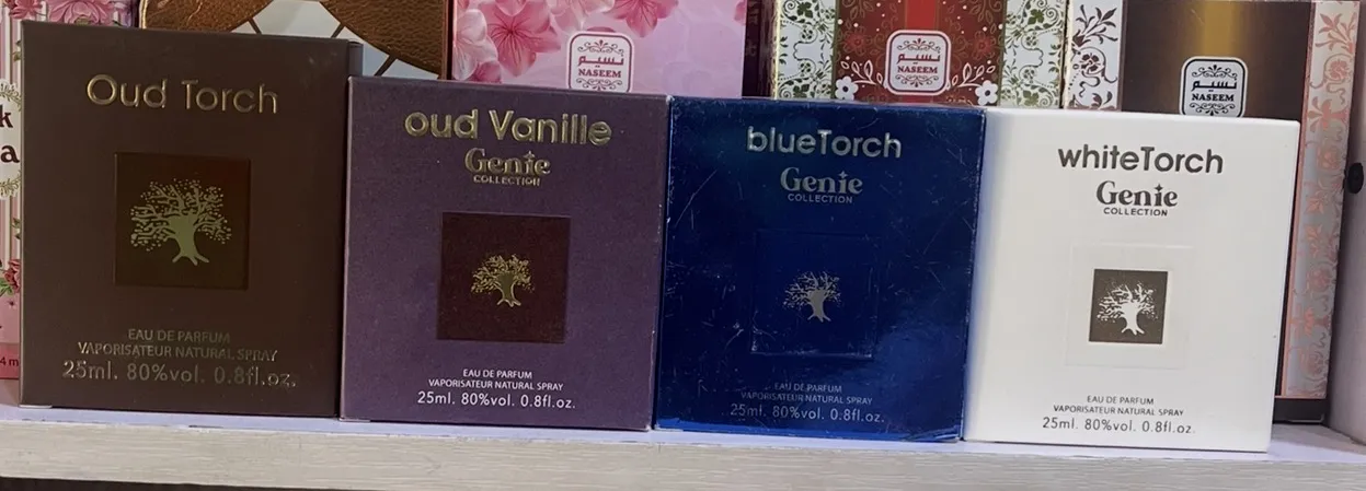 GENIE TOUCH