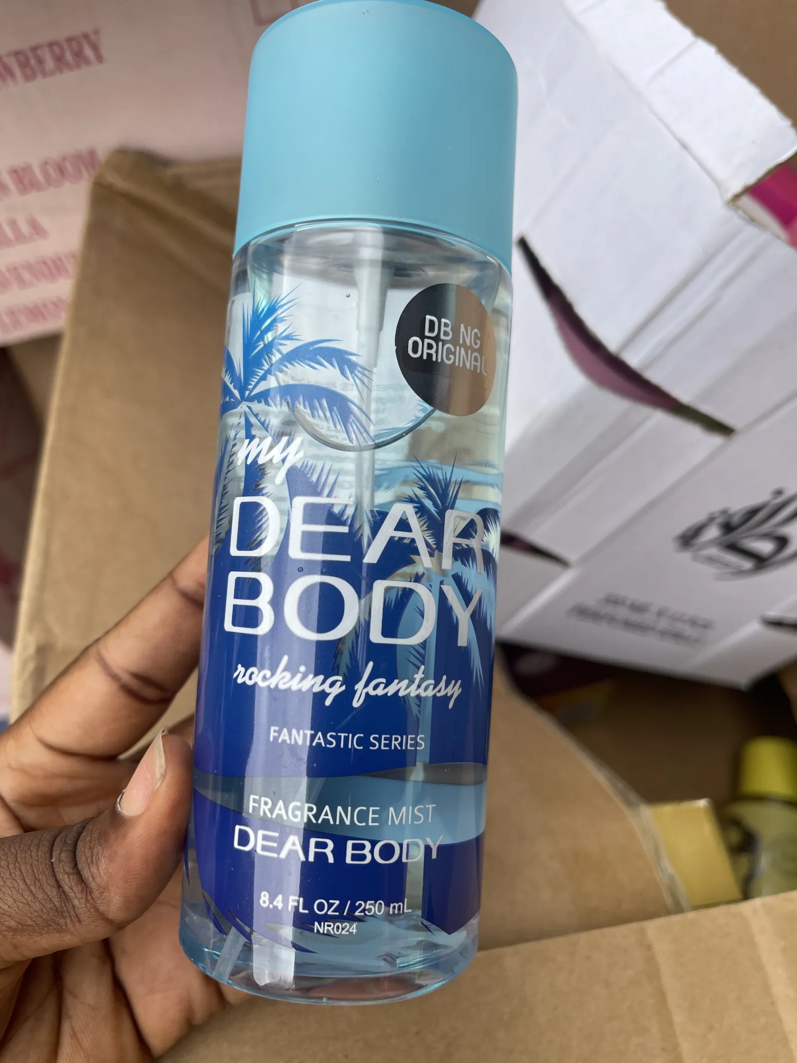 MY DEAR BODY view 11
