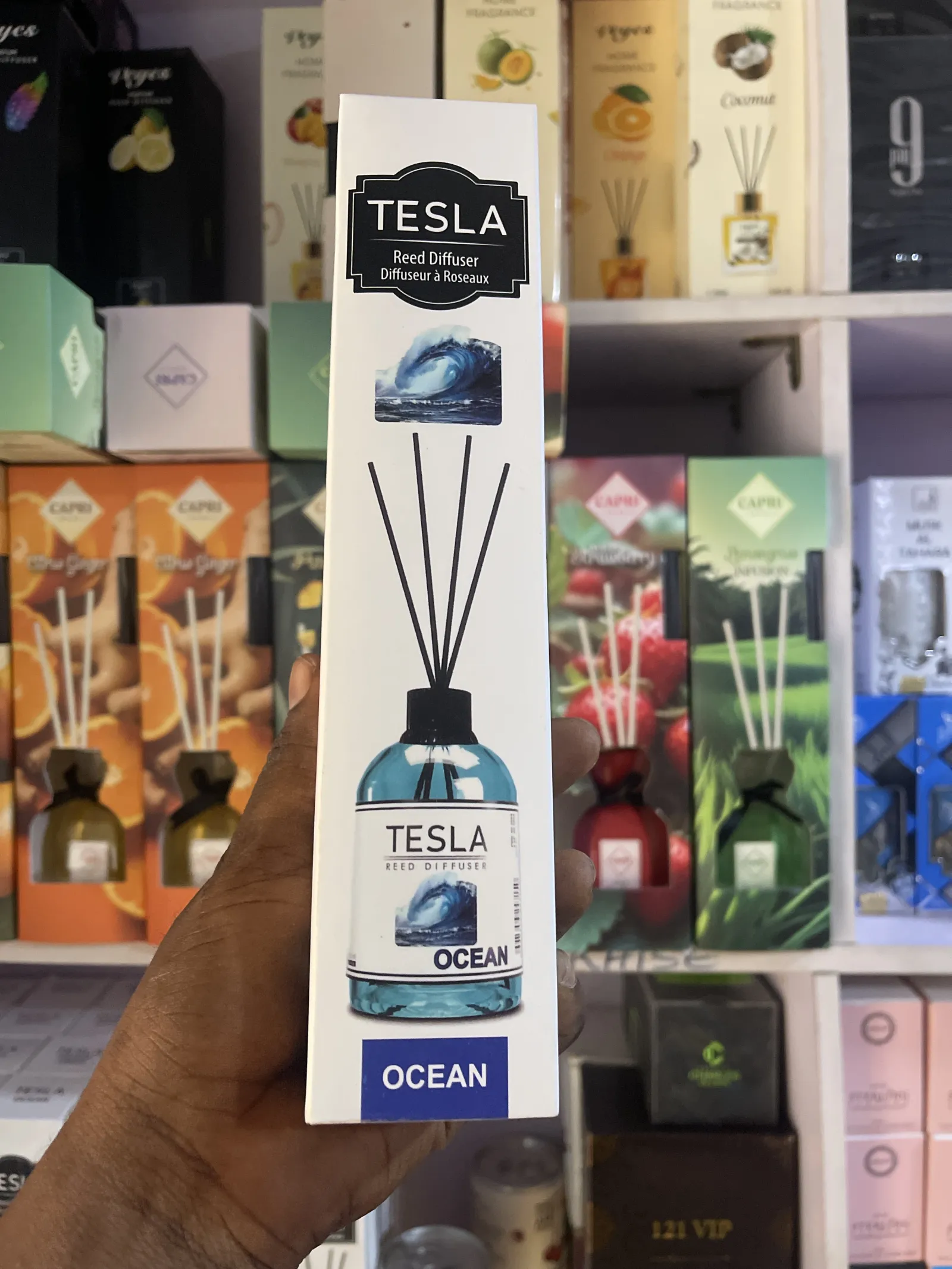 TESLA view 7
