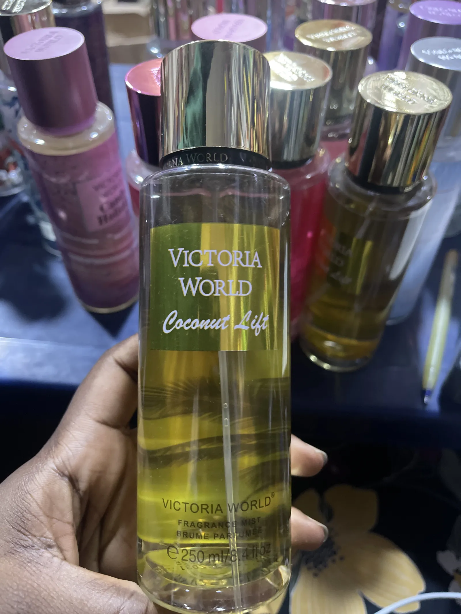 VICTORIA WORLD view 14
