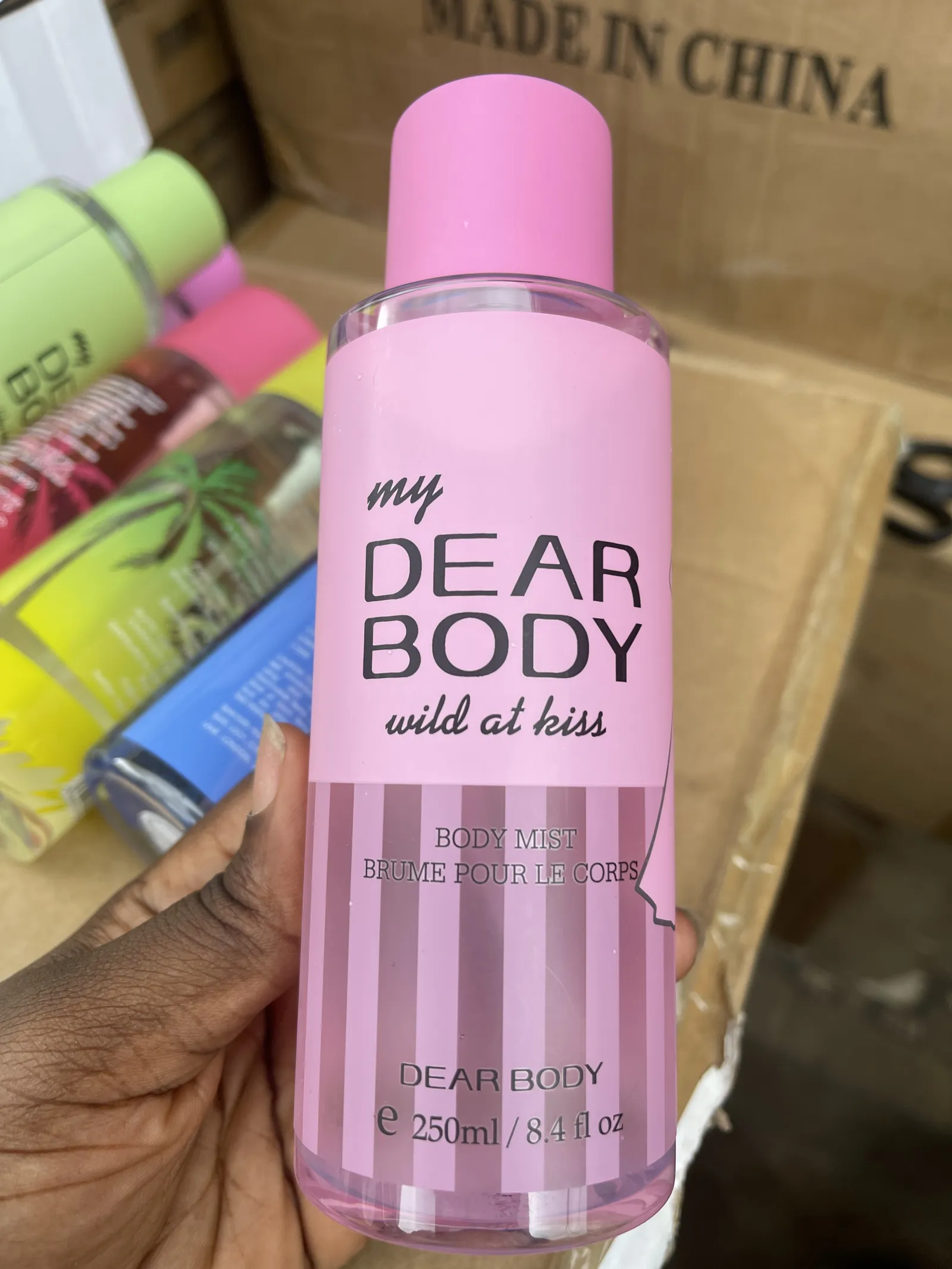 MY DEAR BODY view 13