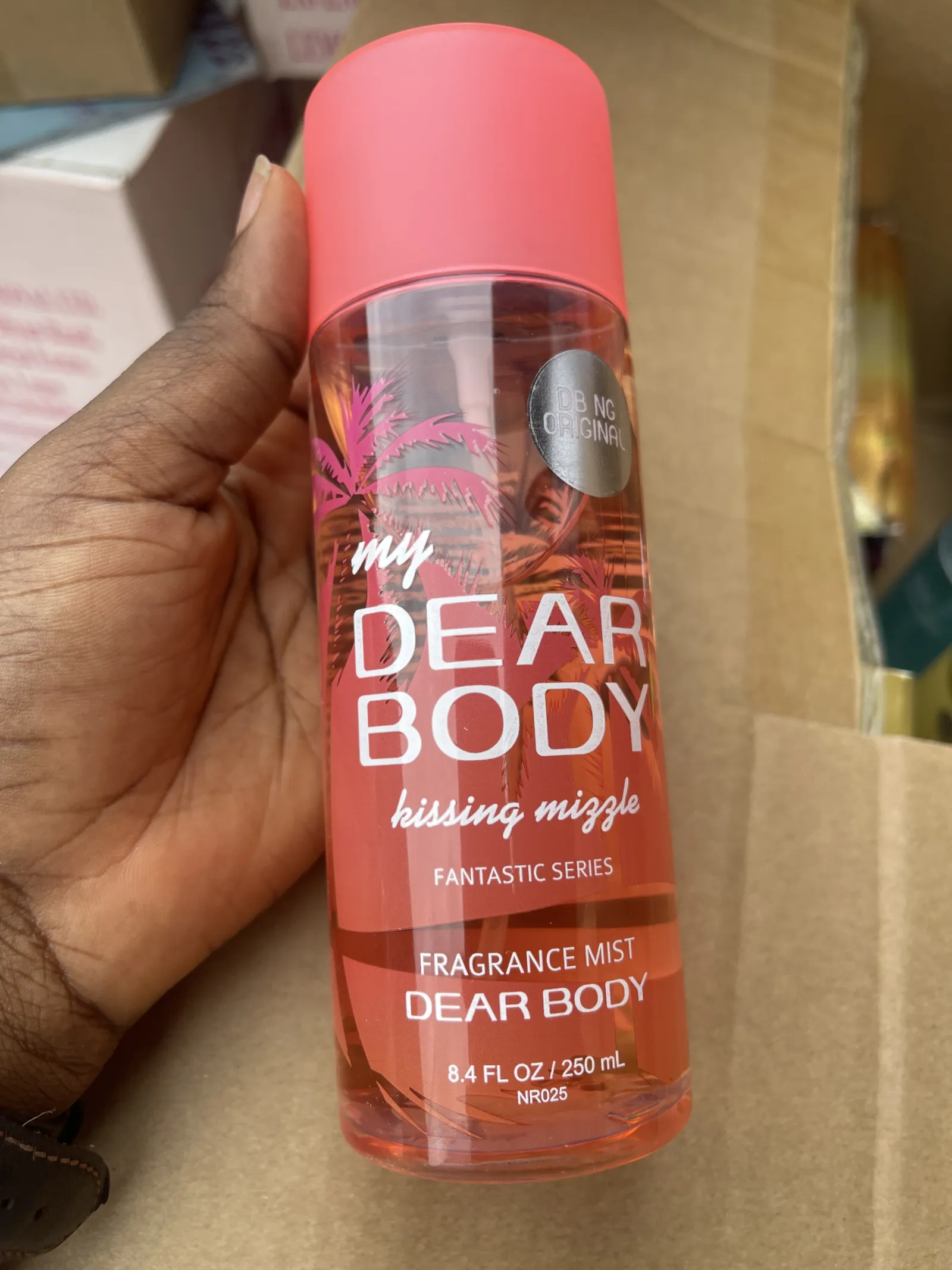 MY DEAR BODY view 6