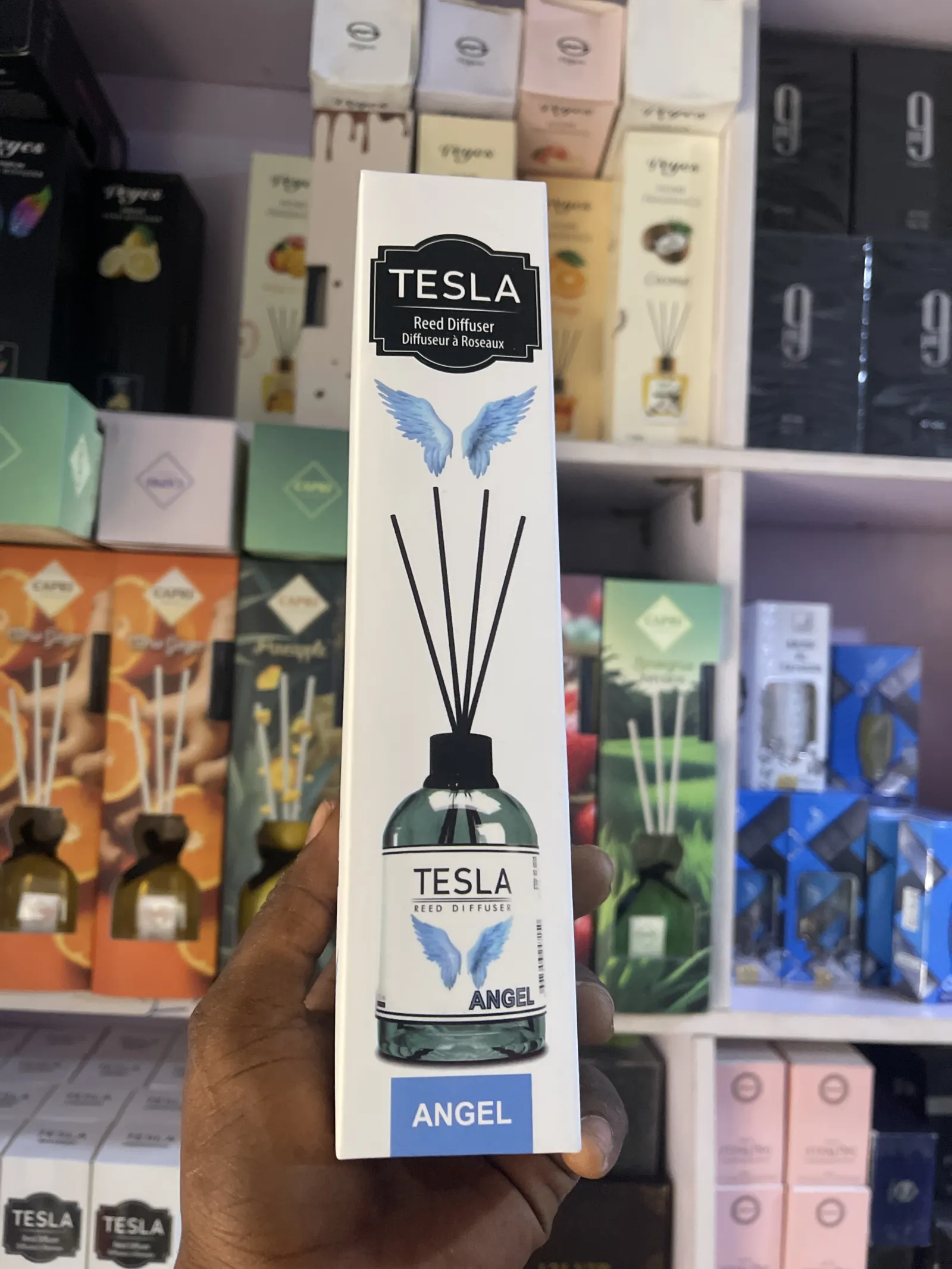 TESLA view 6