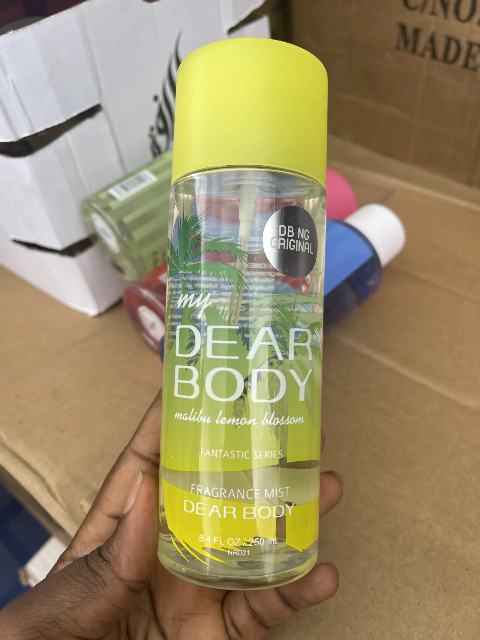 MY DEAR BODY view 14