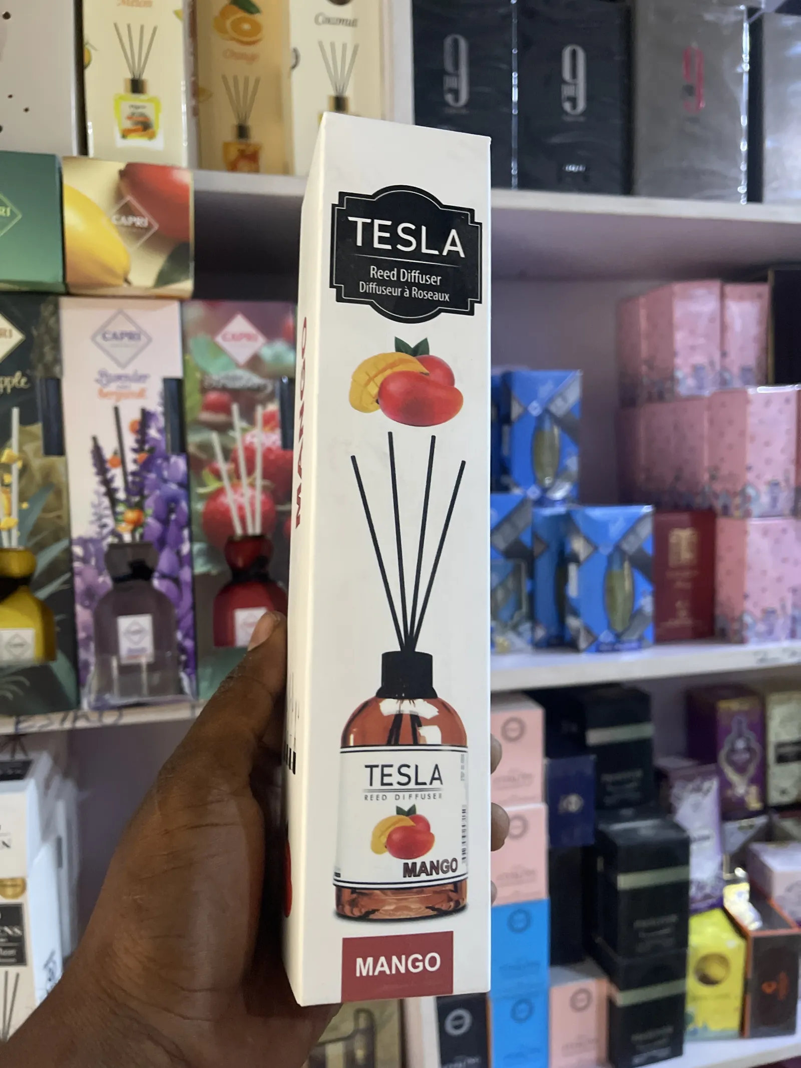 TESLA view 9