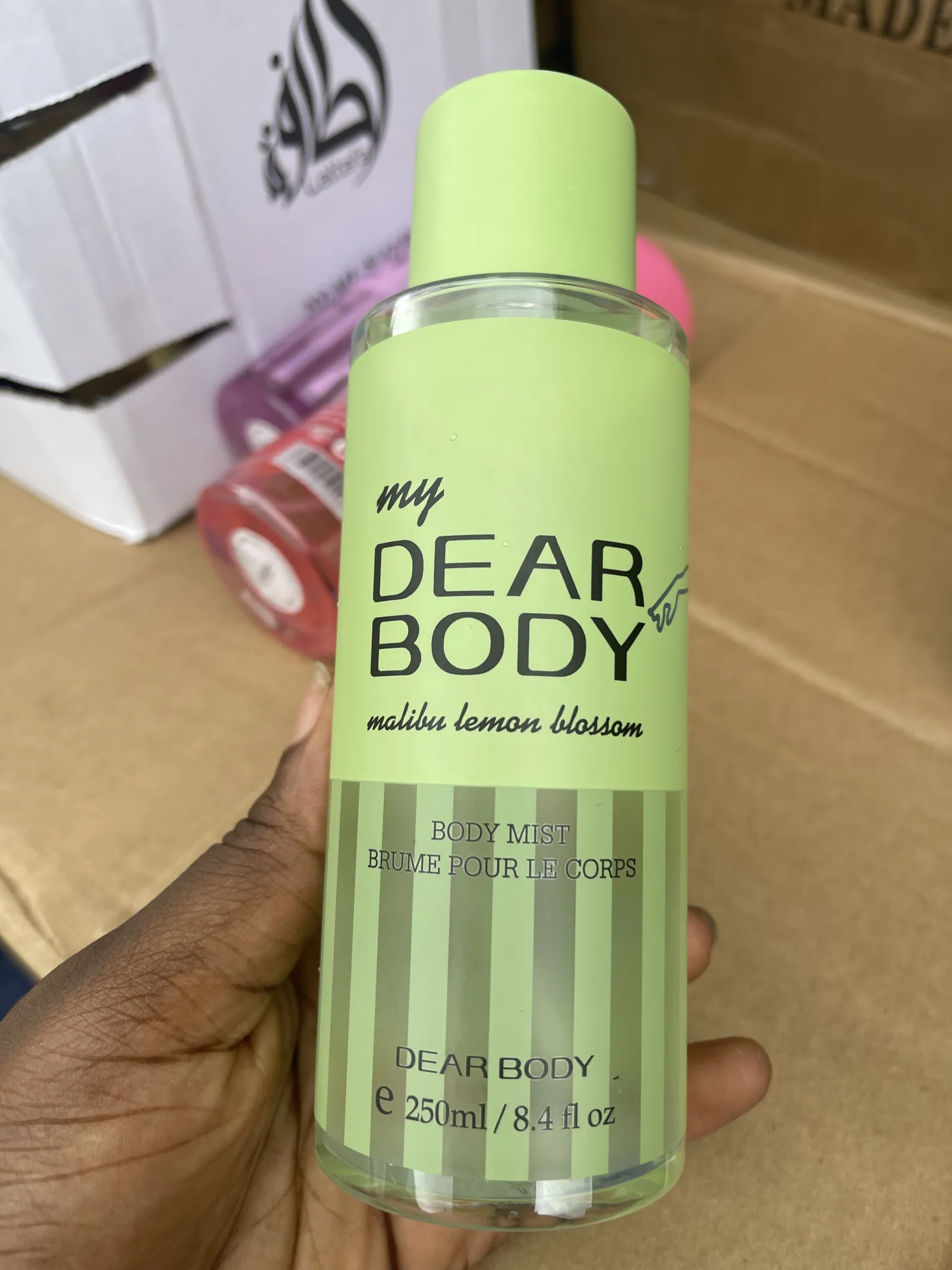 MY DEAR BODY view 16